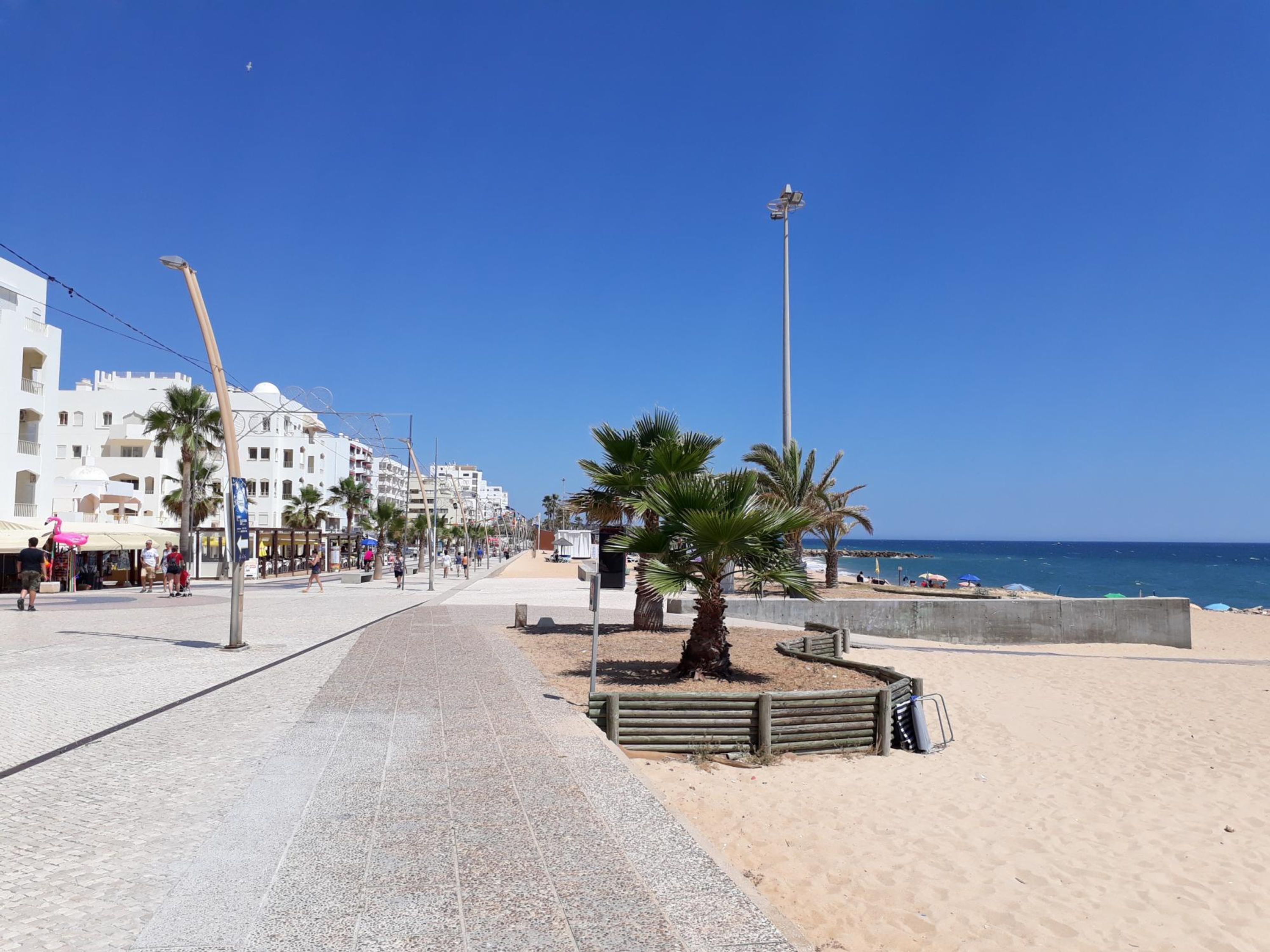 Eine Küstenpromenade mit gepflastertem Weg, Palmen und einem Strand im Hintergrund.