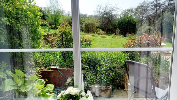 A conservatory with a view of a lush garden. - Cosy Axminster Studio with Extra Beds (Axminster)