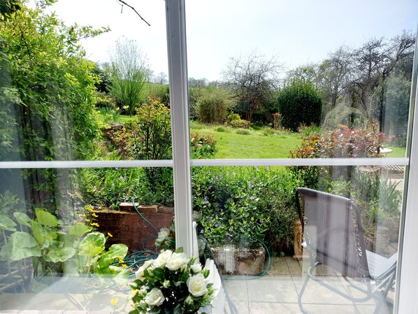 Interior - Cosy Axminster Studio with Extra Beds (Axminster)