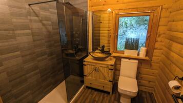Combined shower/bathtub, hair dryer, towels