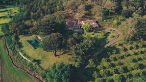 Luchtbeeld van een huis omringd door dicht bos, met een zwembad en een kronkelend pad.