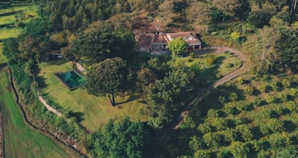 Lovely 6-Bed Cottage in Barcelos - Vila Cova