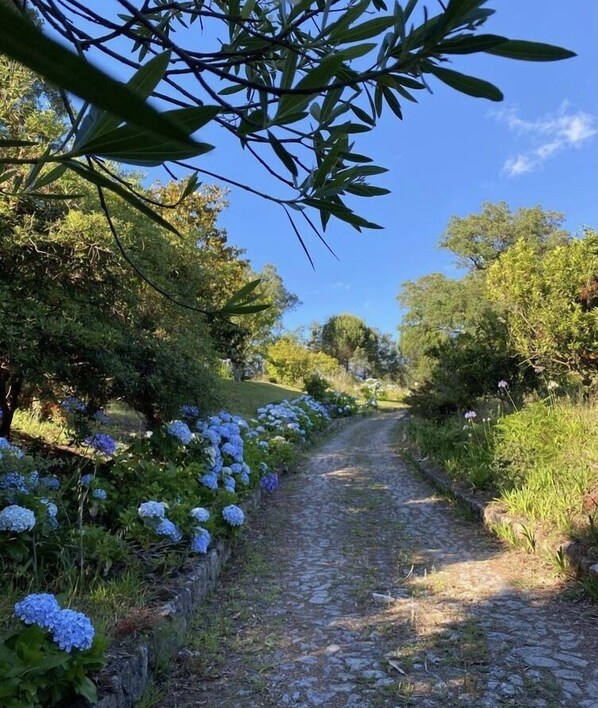 Property grounds - 6-Bed Cottage Sleeps 12 with Gardens (Barcelos)