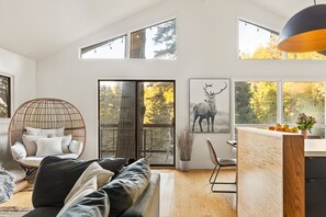 Smart TV, fireplace, books, stereo