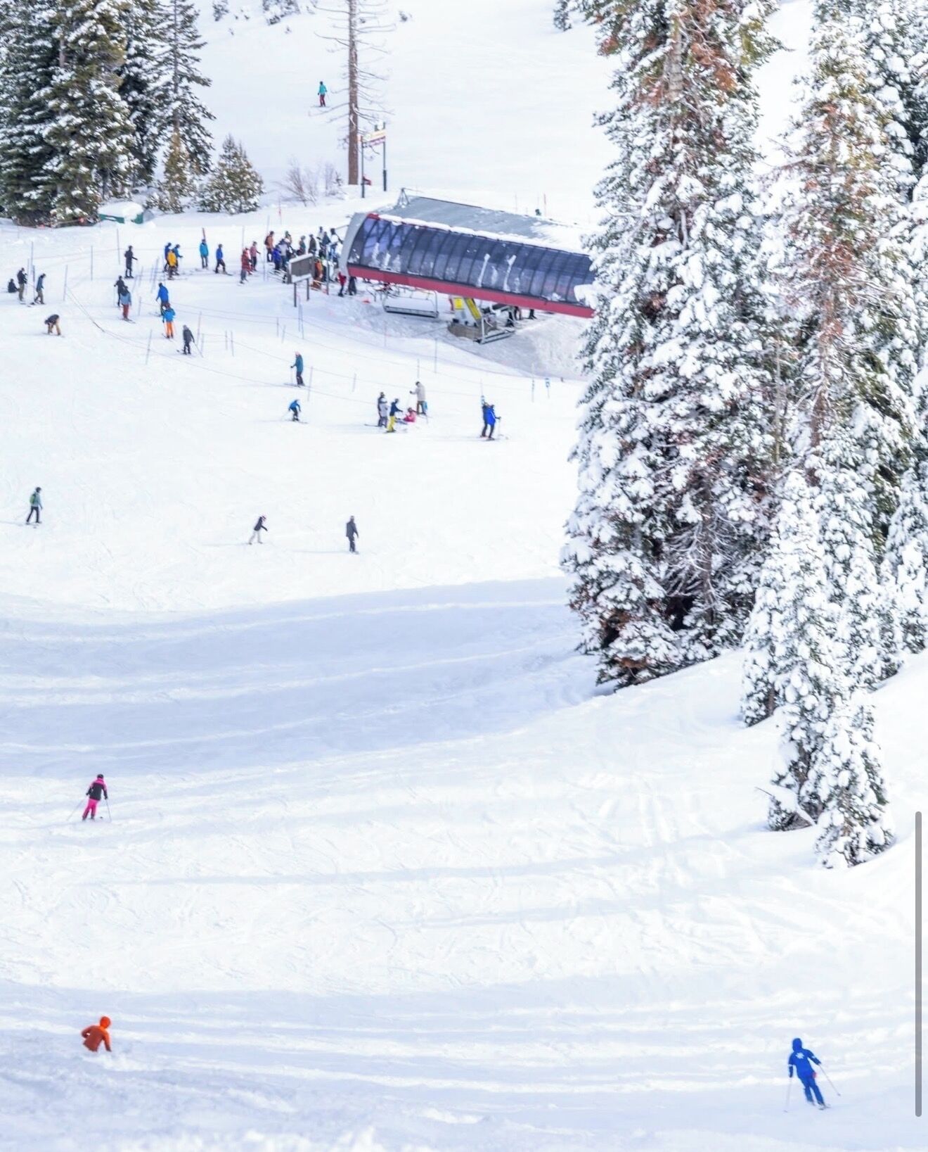 Snø- og skisport
