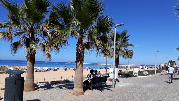 Um calçadão à beira-mar com palmeiras, um banco e vista clara para o mar.