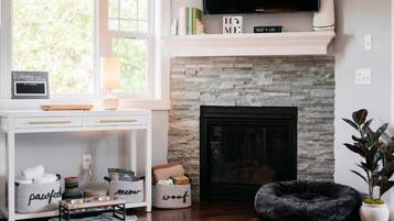 TV, fireplace, books