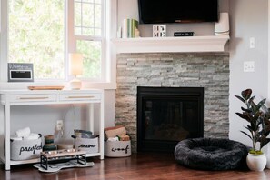 TV, fireplace, books
