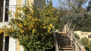 A building with a wooden staircase leading to a balcony, surrounded by greenery and trees. - French Riviera Air-conditioned Villa with heated infinity pool, Amazing view (Var)