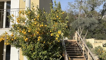 DĂ©tail de lâextĂ©rieur