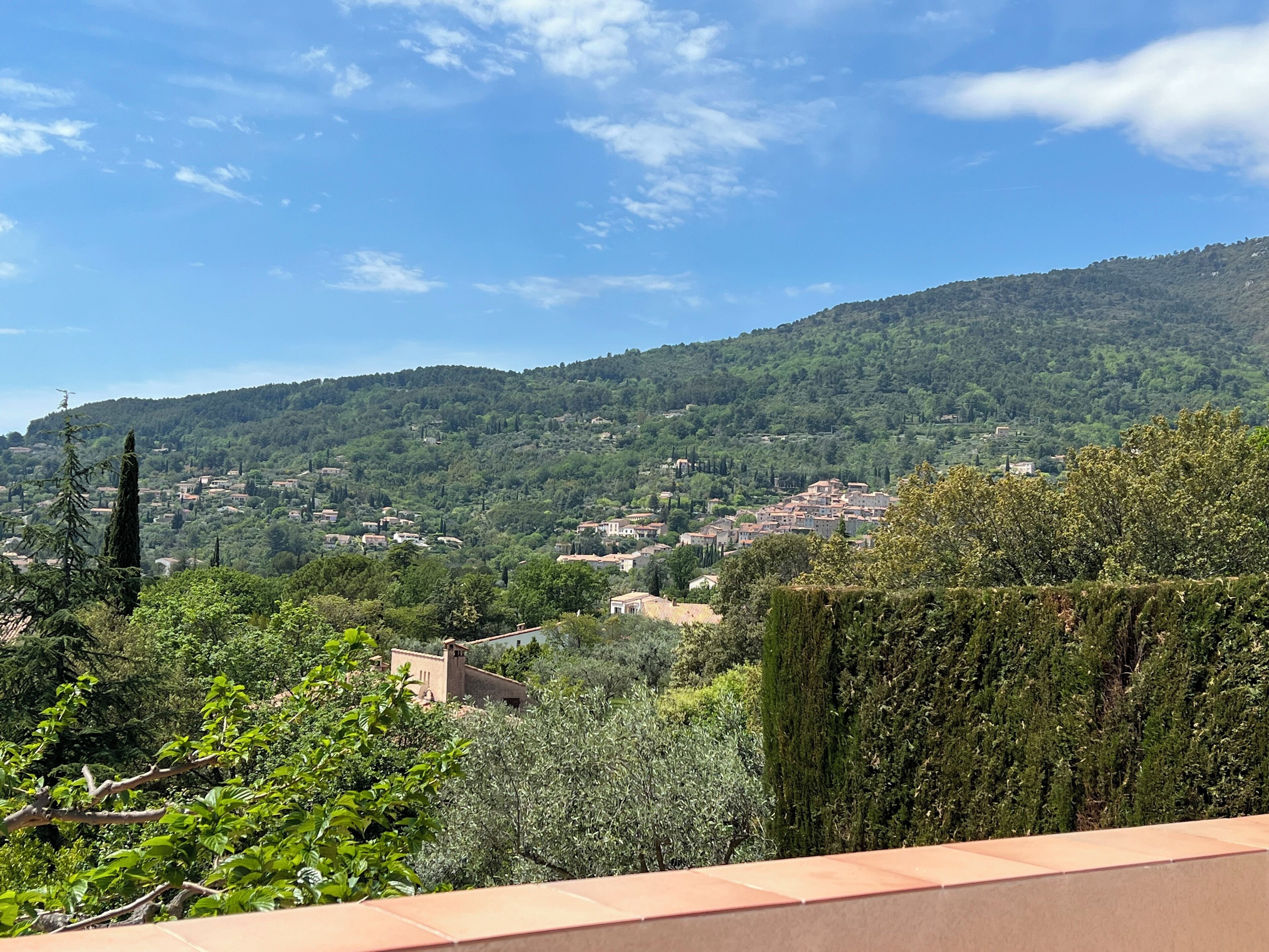 A hillside village with traditional architecture, dense greenery, and a clear blue sky.