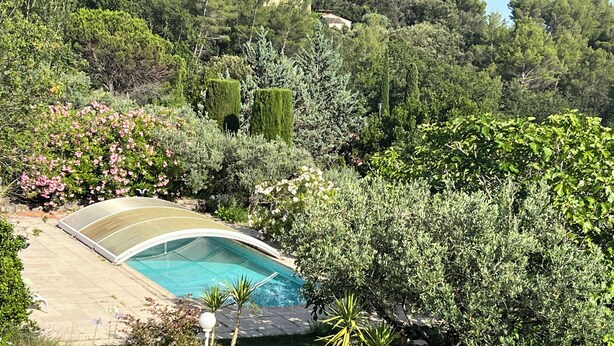 Piscina cercada por vegetação exuberante e árvores.