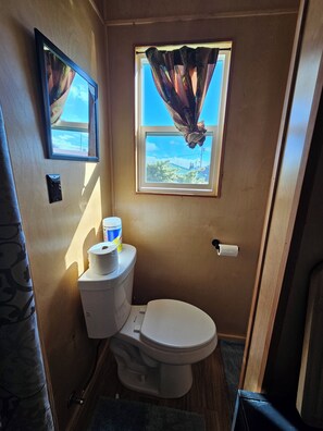 Bathtub, towels, soap, toilet paper