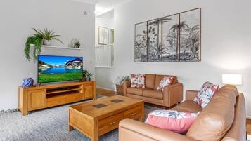 Tv, dvd-afspiller, bøger