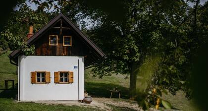 Romantic cellar in the middle of the countryside