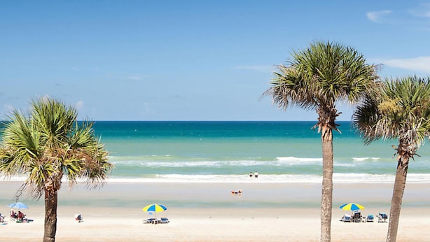 A beach with palm trees, clear blue sky, and a calm sea. - Fantasy Island II (Daytona Beach Shores)