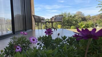 Suite estudio de diseñador | Terraza o patio