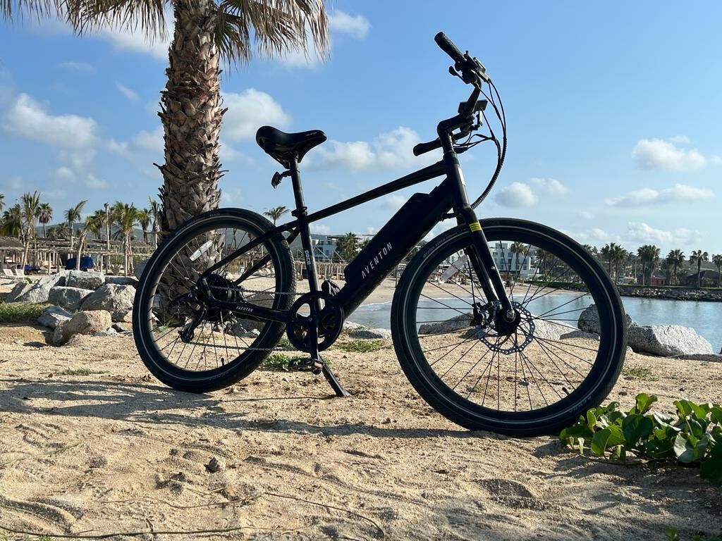 Una bicicleta negra estacionada en una playa arenosa, con una palmera y una masa de agua al fondo.