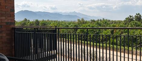 A balcony with a view of a mountain range and a palm tree-lined street.