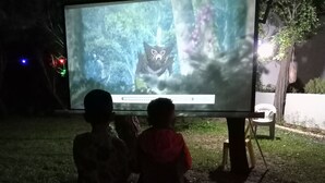 Dos niños sentados en un banco mirando una pantalla grande al aire libre de noche.
