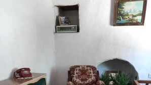 Una habitación con un sillón estampado, una estantería, una chimenea y una alfombra.