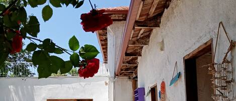 Façana frontal de l'allotjament