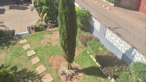 A garden with a tall tree, a paved walkway, and a road with a decorative fence. - Jacuzzi city home free wifi, netflix (Kampala)