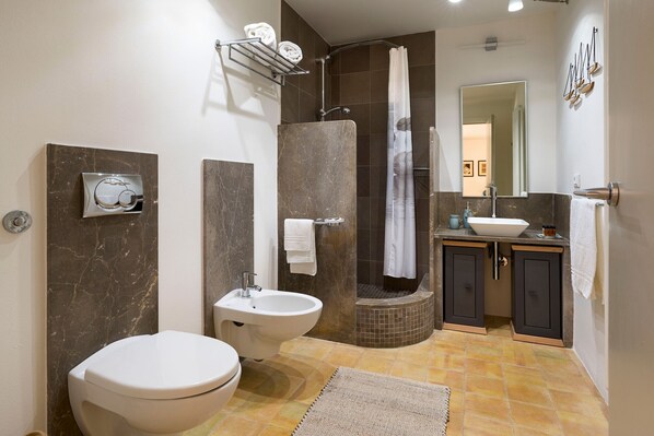 Shower, hair dryer, towels