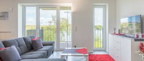 电视、DVD 播放器、音乐库、立体声音响