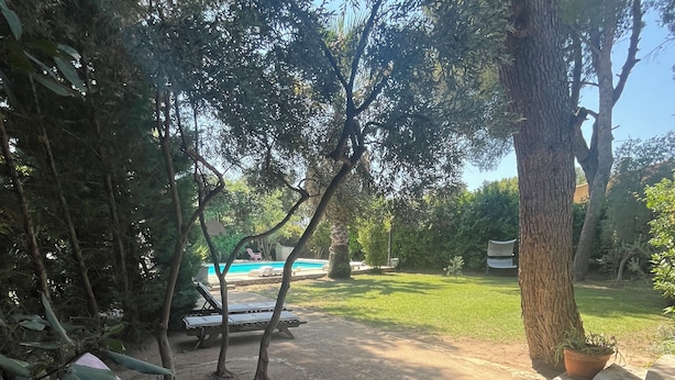 Un jardin avec deux chaises longues, une petite piscine et une pelouse.