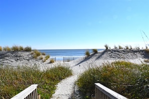 Walk along the beach pathway, bordered by lush vegetation and a wooden fence, to the ocean's edge.