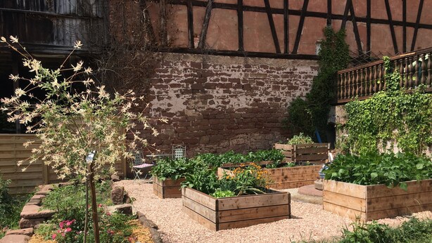 A garden with raised wooden planters, a variety of flowering plants, and a rustic brick wall. - Comfortable apartment in alsatian house (Oberbronn)