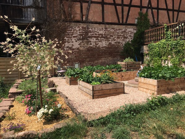 Terrain de l’hébergement 