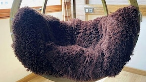 Een ronde hangstoel met een zacht kussen in een kamer met houten wanden en een raam.