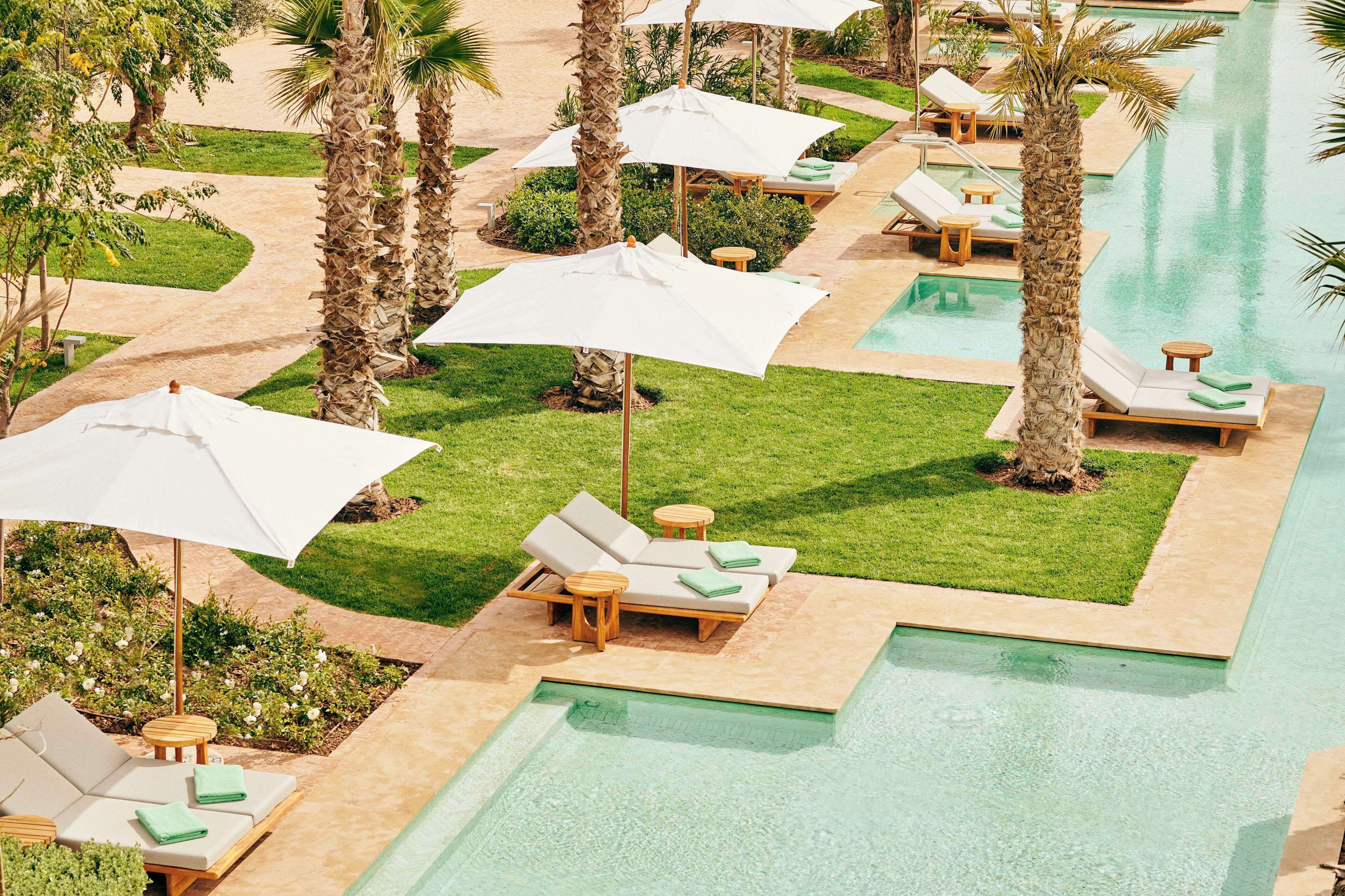 A poolside area with lounge chairs and umbrellas, surrounded by palm trees and a clear pool.