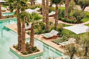 Un espace piscine agrémenté de chaises longues et de parasols, entouré de palmiers et de verdure.