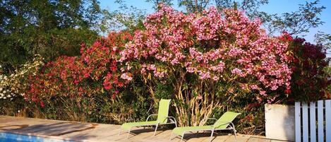 Alberca al aire libre