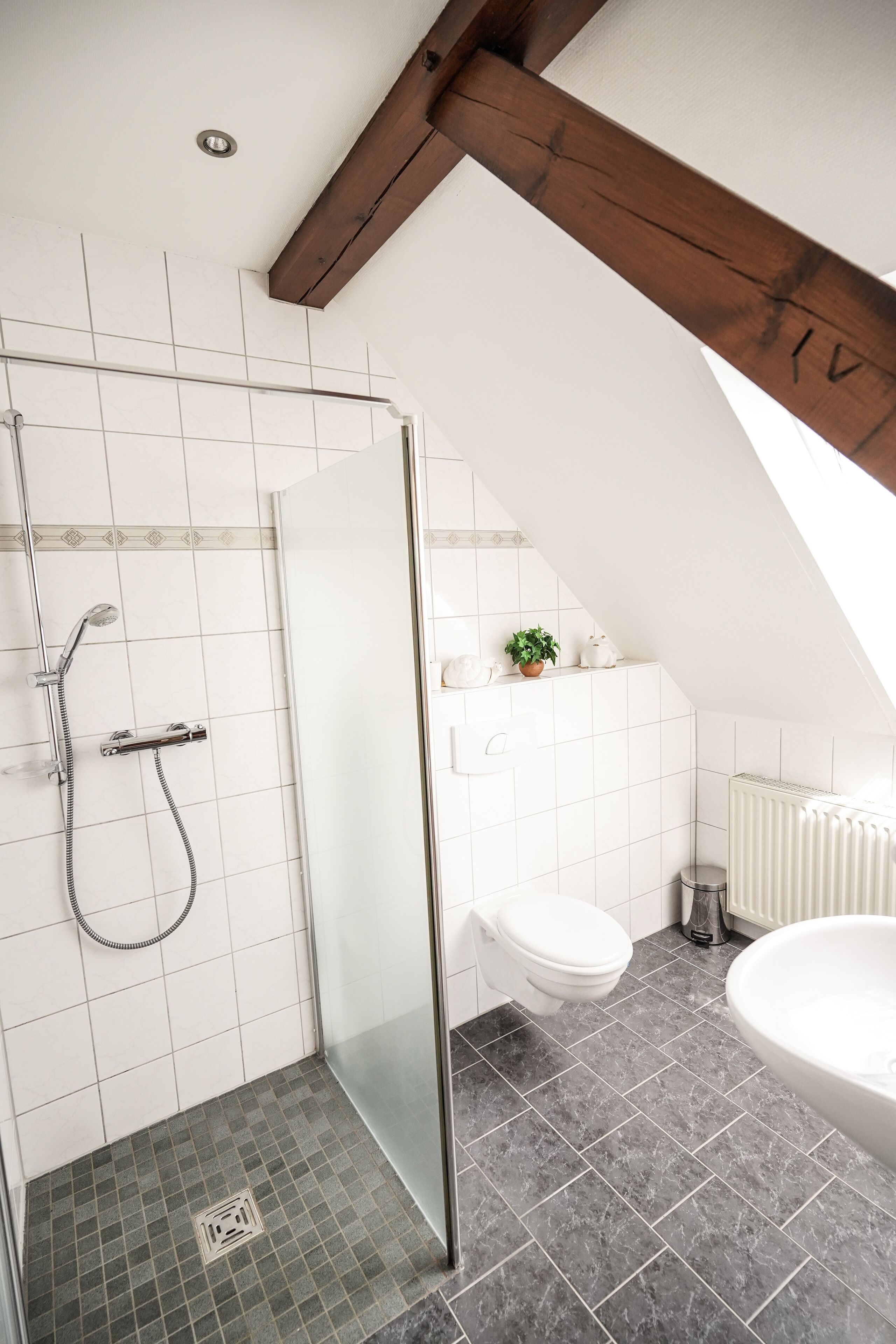 Chambre Double | Salle de bain | Douche, serviettes fournies