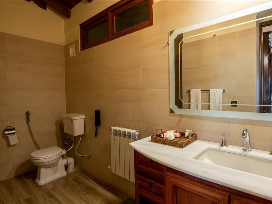 A bathroom with a toilet, a sink, and a mirror.