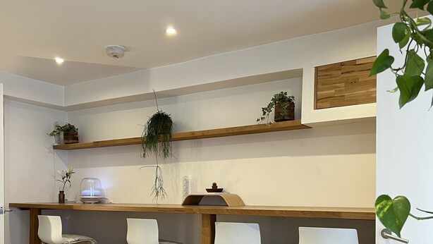 Una habitación moderna con cama, escritorio y sillas. Hay plantas en estanterías y una planta junto a la cama.