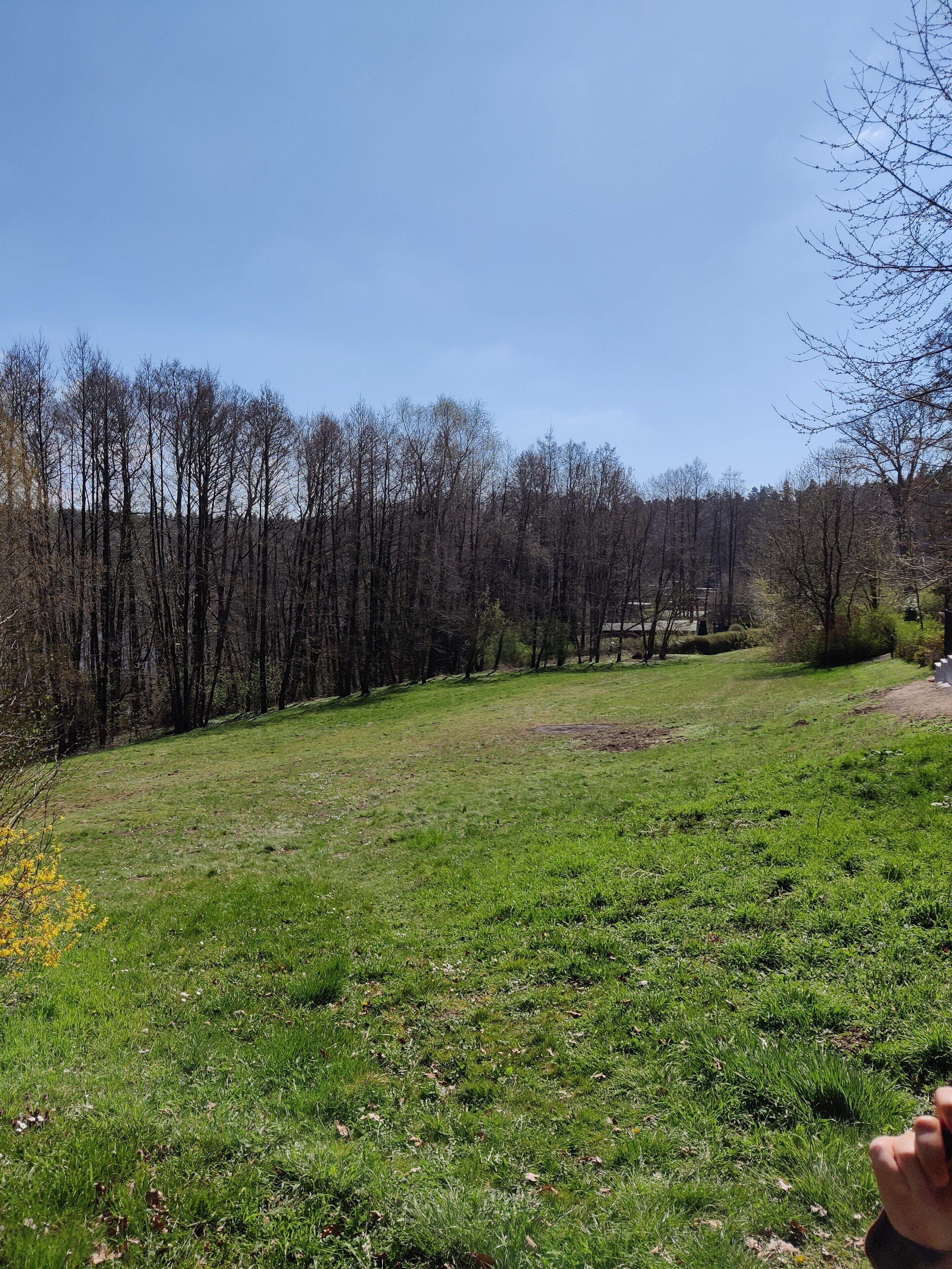 Un champ verdoyant, parsemé d’arbres, sous un ciel dégagé.