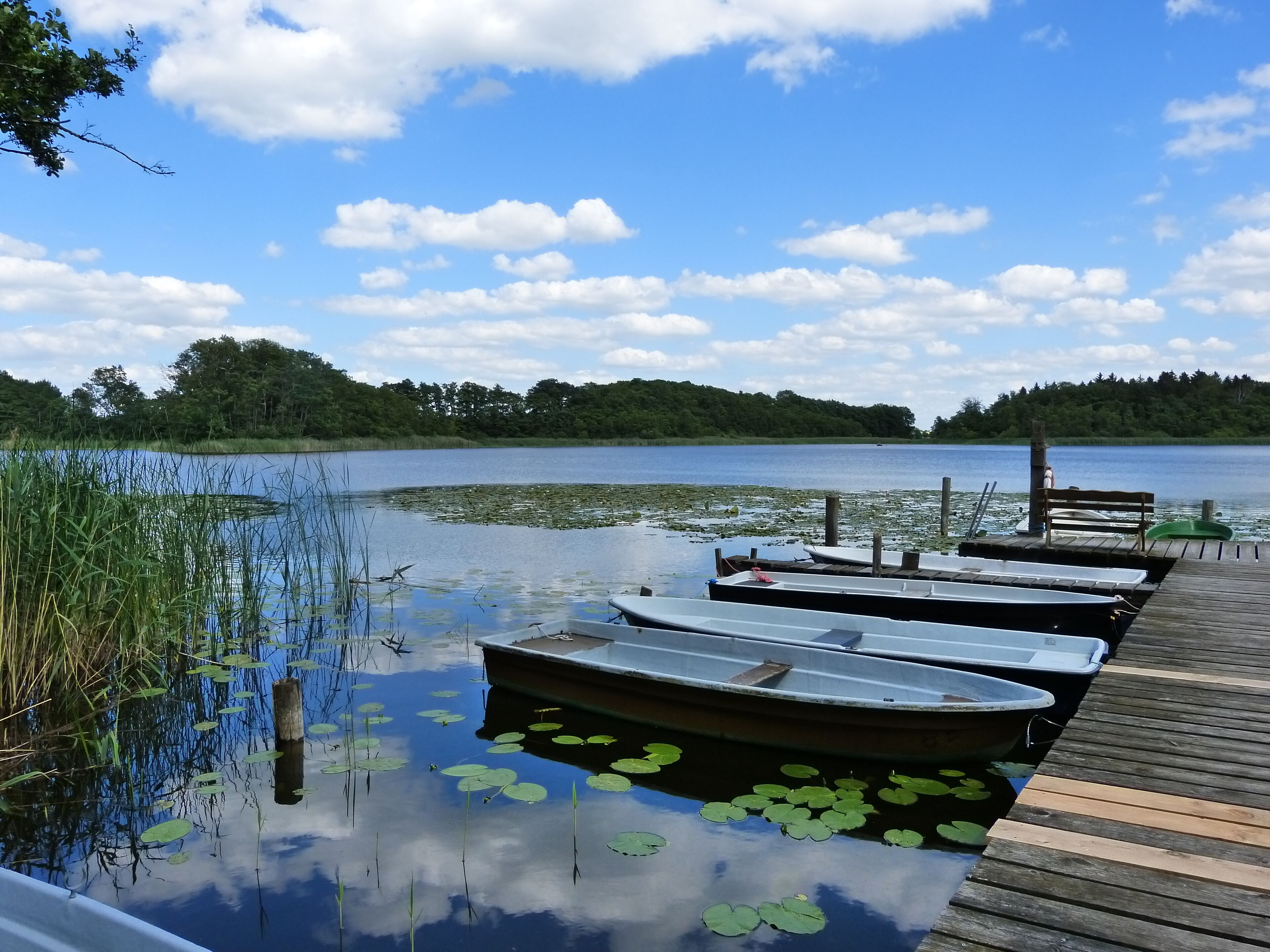 Un lago tranquilo con barcos amarrados, un muelle de madera y vegetación circundante.
