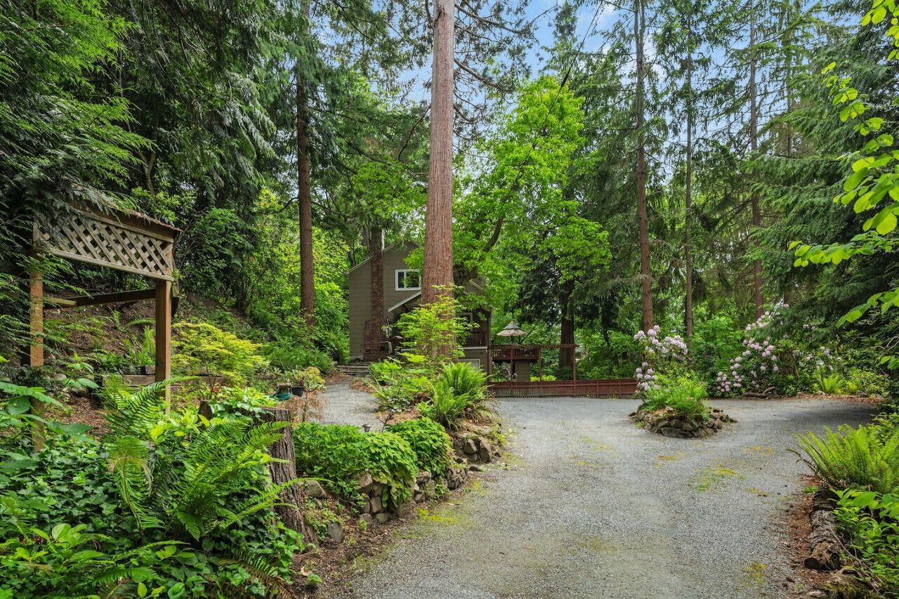 A forested area with a gravel path leading to a house.