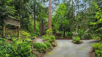 A forested area with a gravel path leading to a house.