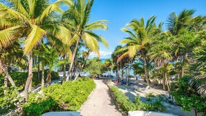 A pathway lined with palm trees leading to a beach area with chairs and a boat.