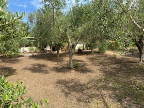 Property grounds - Domo Anghèleda - Detached with large garden, a few minutes from the sea (Sardegna)