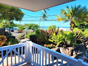 Ein Balkon mit Blick auf das Meer, umgeben von tropischen Pflanzen und einem weißen Geländer.