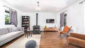 A living room with a sofa, a chair, a TV, a bookshelf, a fireplace, and a window. - Rustic Villa Noce with pool (Sveti Ivan)