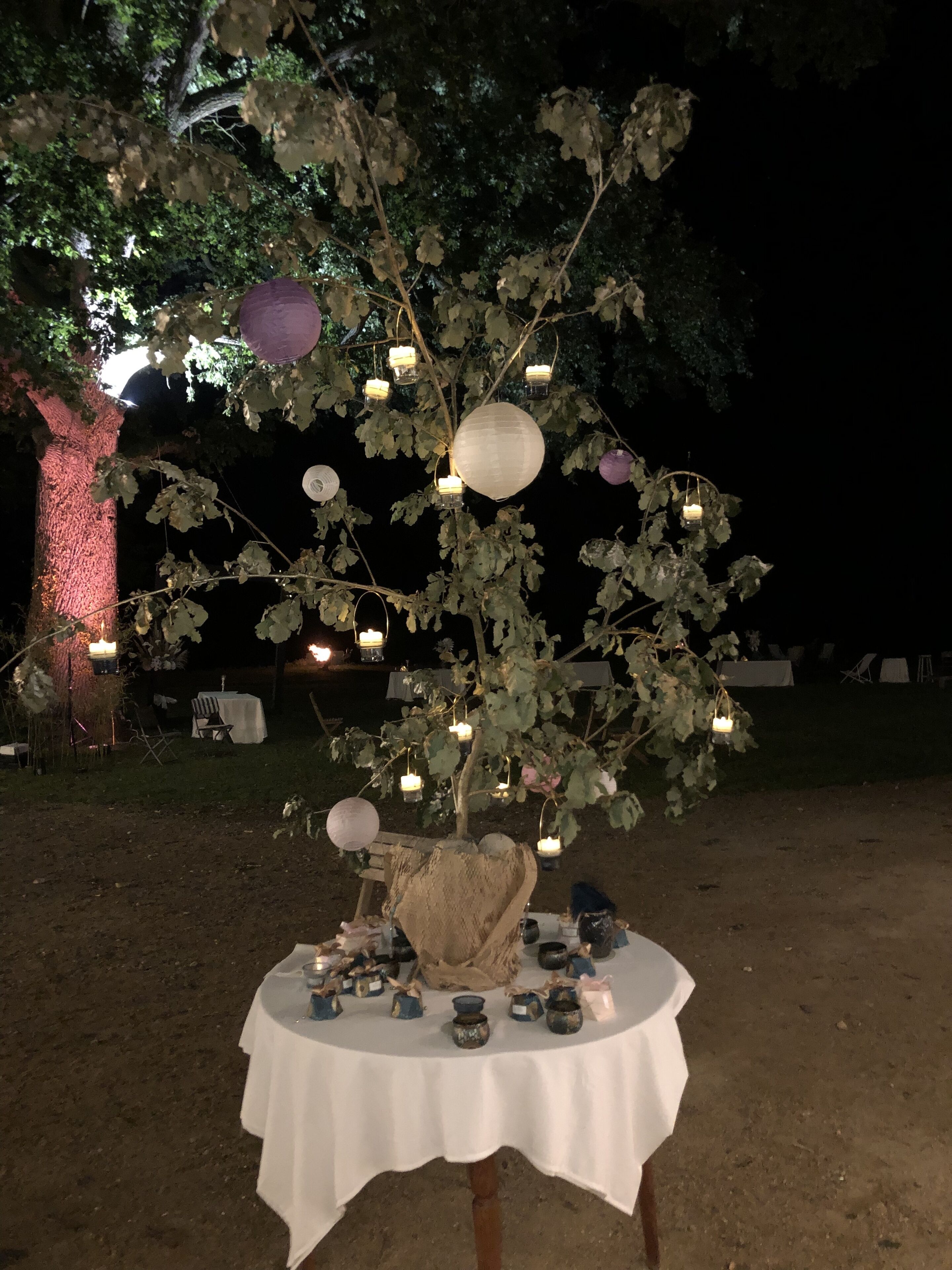 A table with various items under a tree at night.