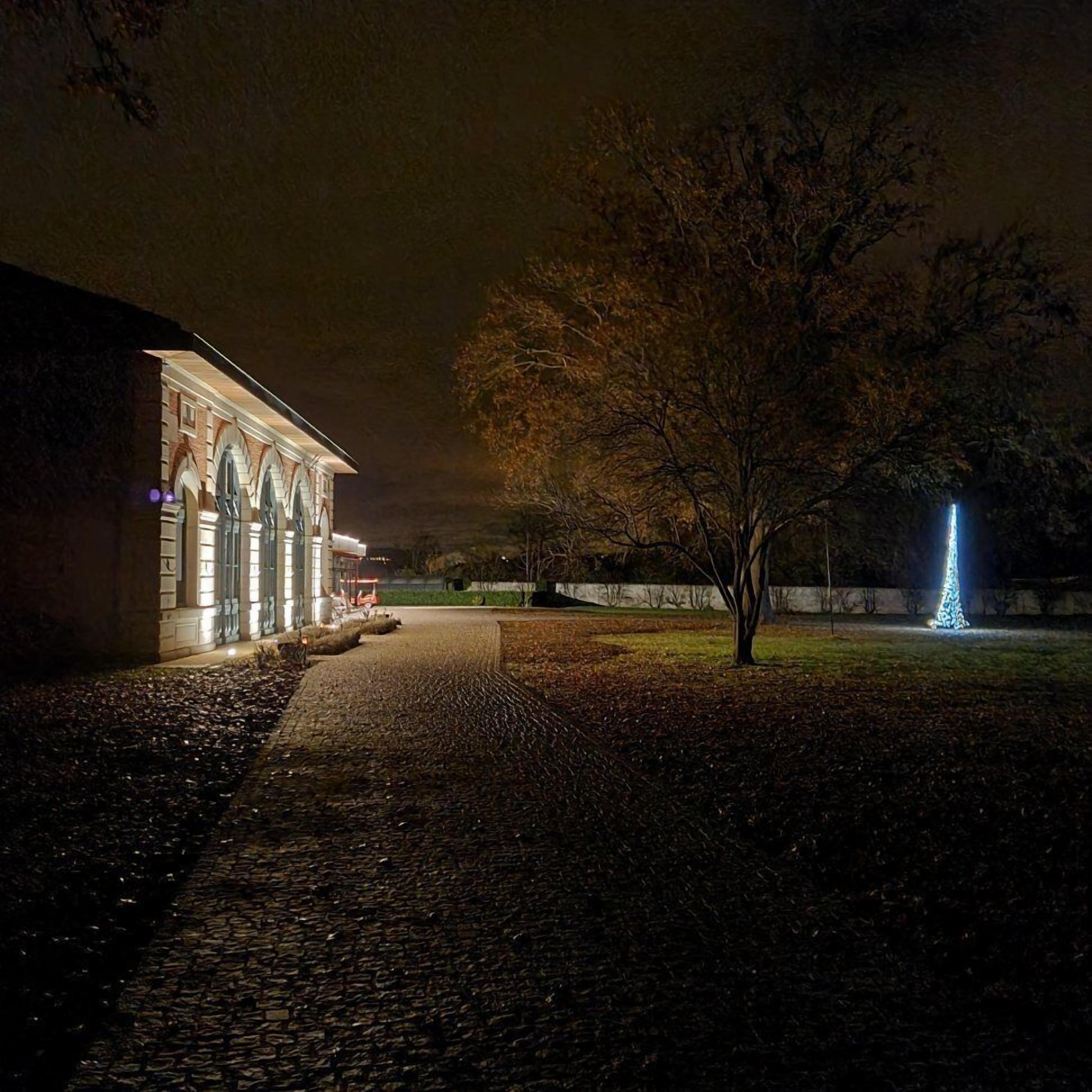 Un edificio con un sendero adoquinado que lo conduce, un árbol y una fuente iluminada.